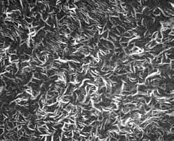 圖片3.jpg 圖片3.jpg